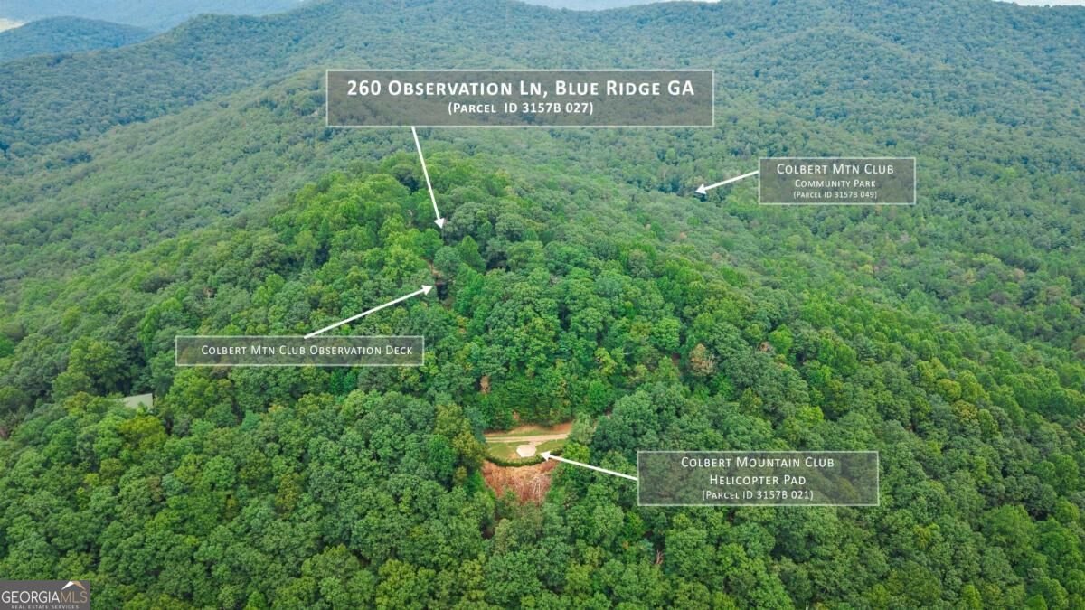 260 Observation Lane Blue Ridge - Photo 46