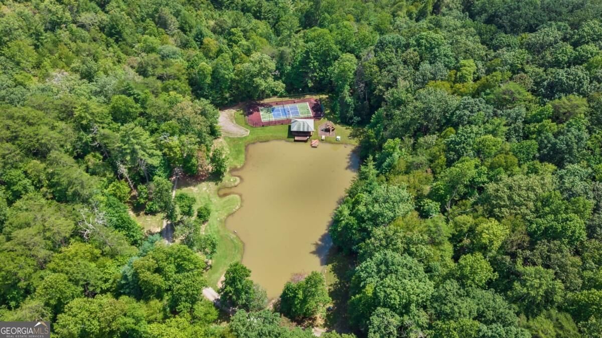 260 Observation Lane Blue Ridge - Photo 47