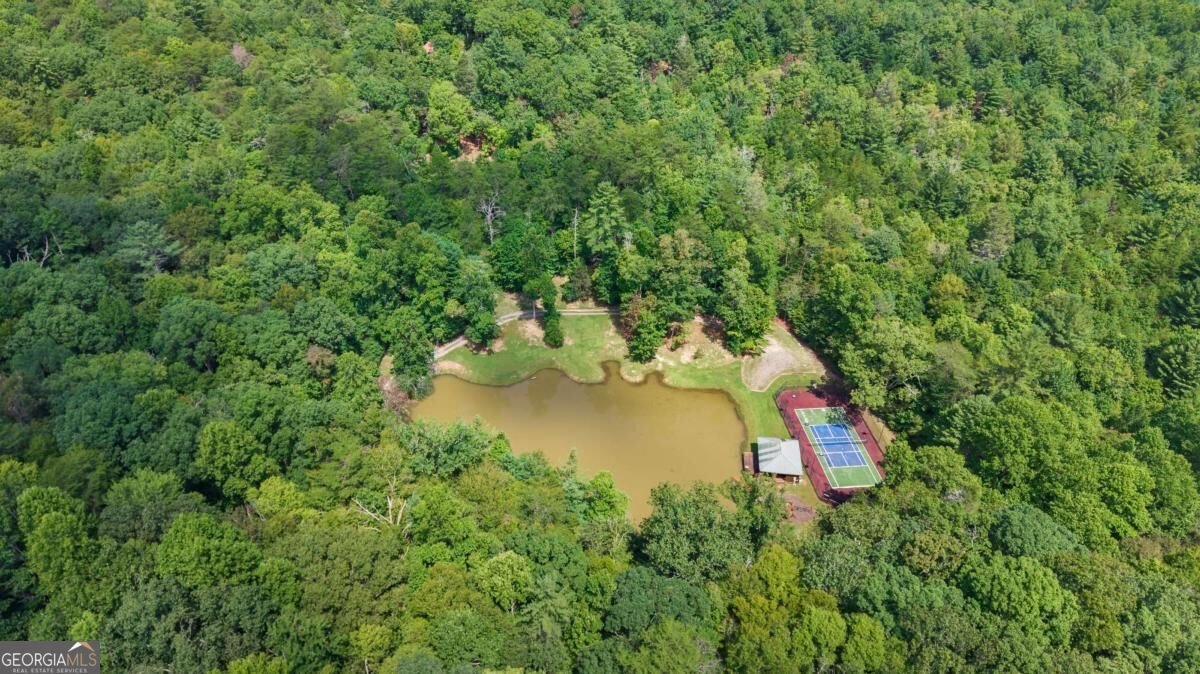 260 Observation Lane Blue Ridge - Photo 48