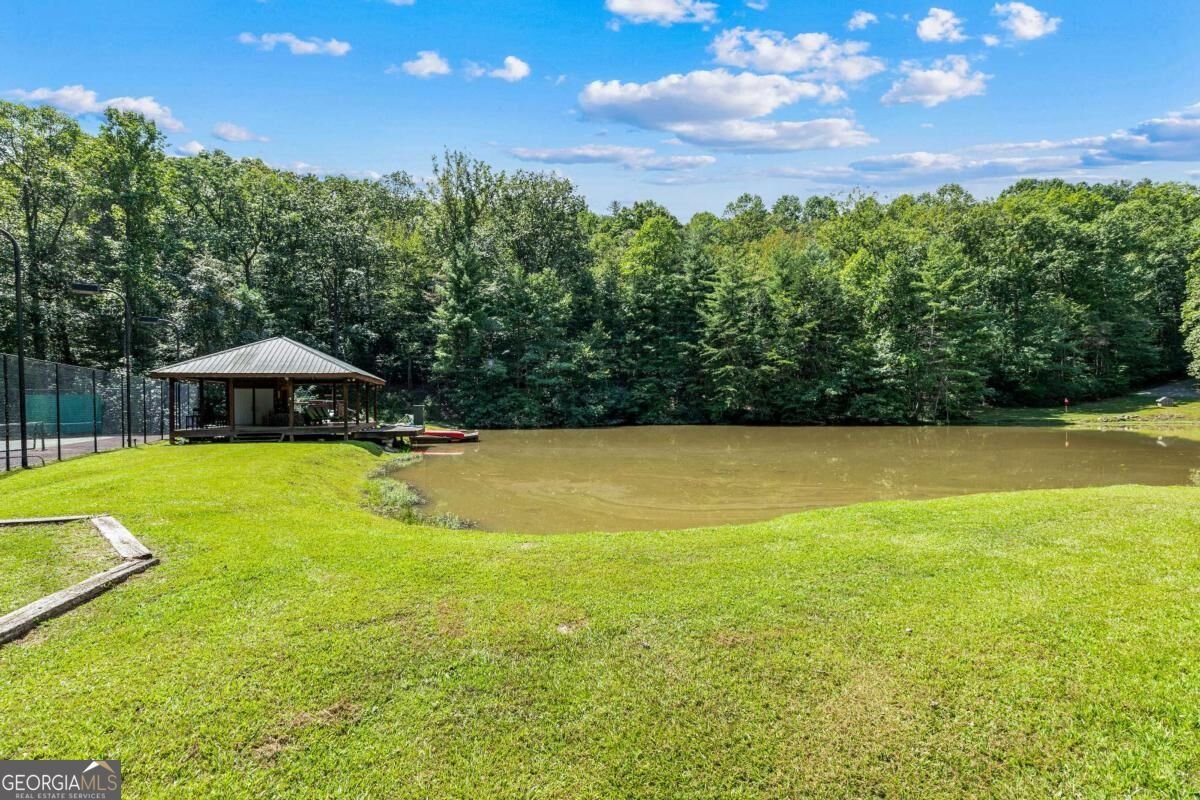 260 Observation Lane Blue Ridge - Photo 52