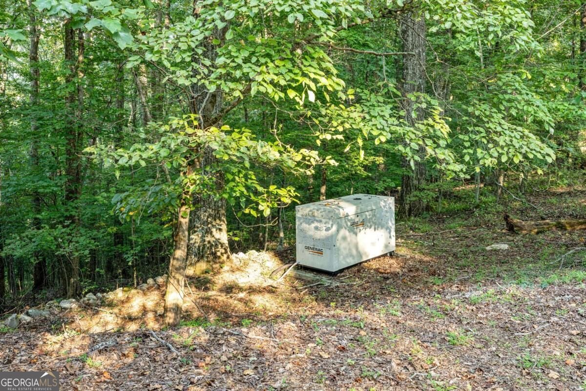 260 Observation Lane Blue Ridge - Photo 58