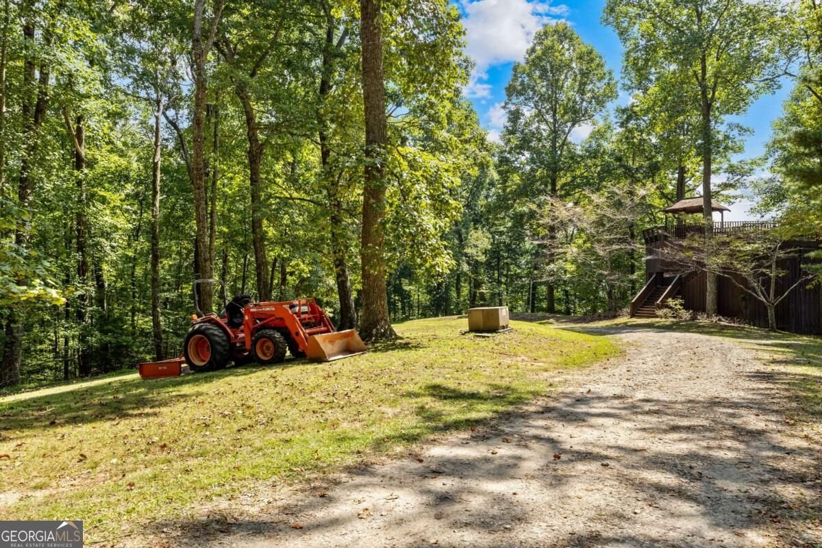 260 Observation Lane Blue Ridge - Photo 59