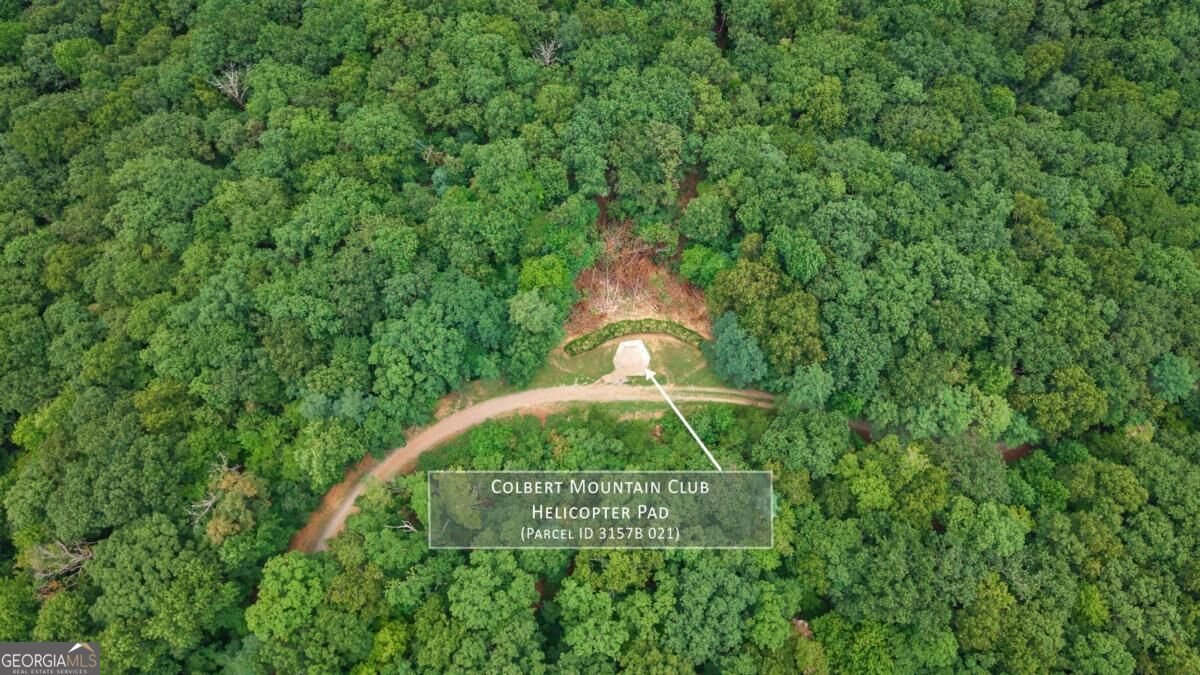260 Observation Lane Blue Ridge - Photo 61