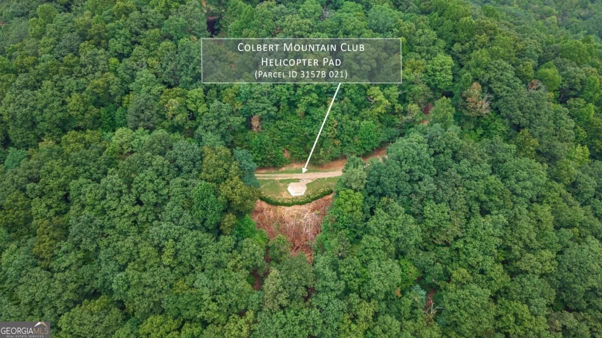260 Observation Lane Blue Ridge - Photo 62