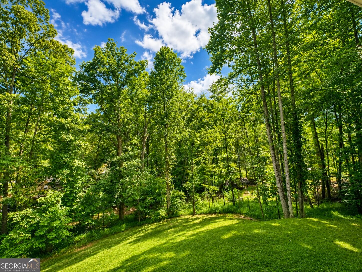 362 Pinecone Blue Ridge - Photo 30