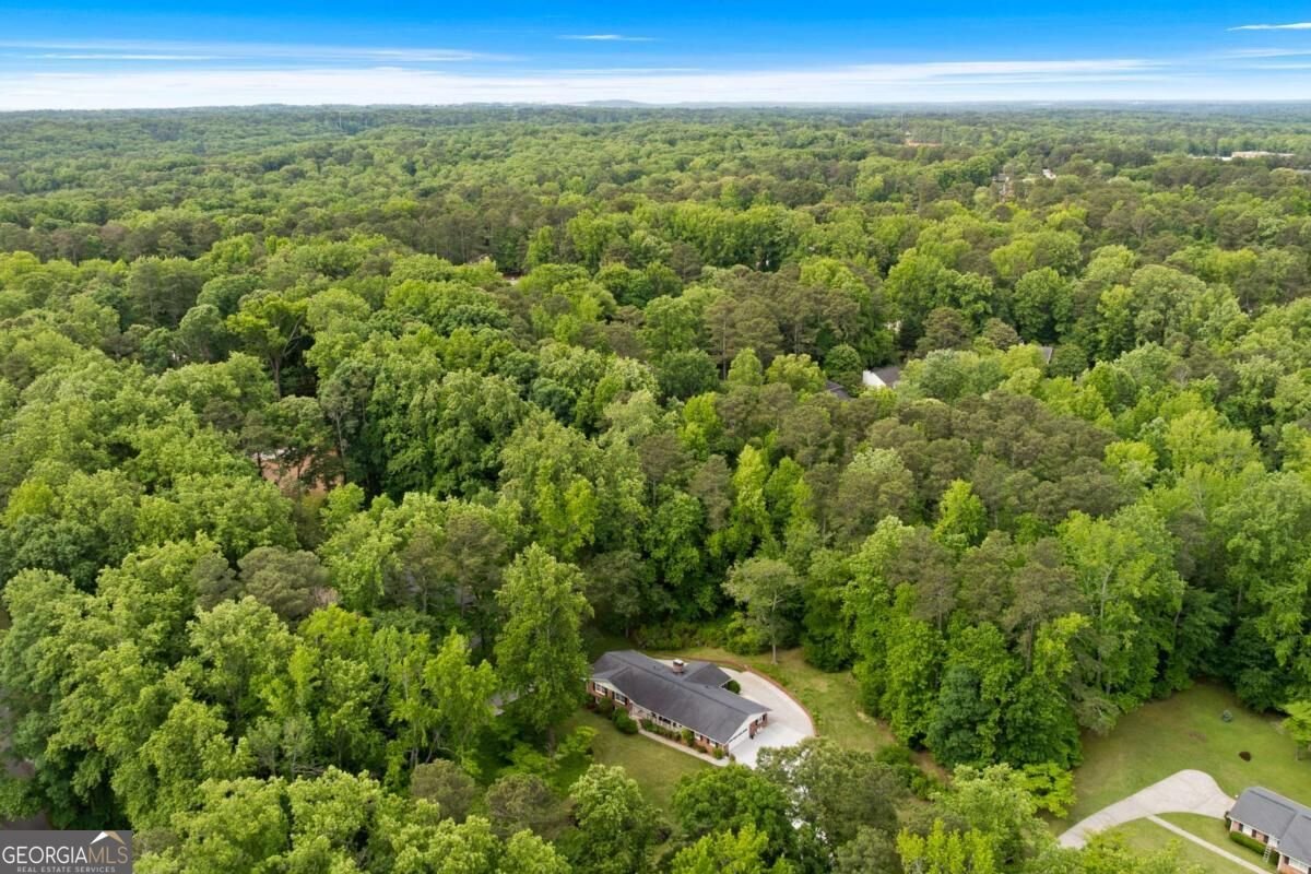 4670 Windsor Drive Smyrna - Photo 48