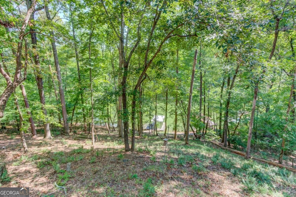 3629 Lakeview Drive Gainesville - Photo 42