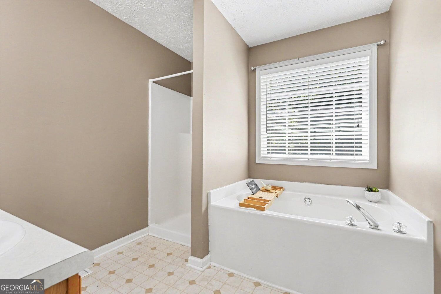 163 Meadow Spring Court Temple - Photo 24