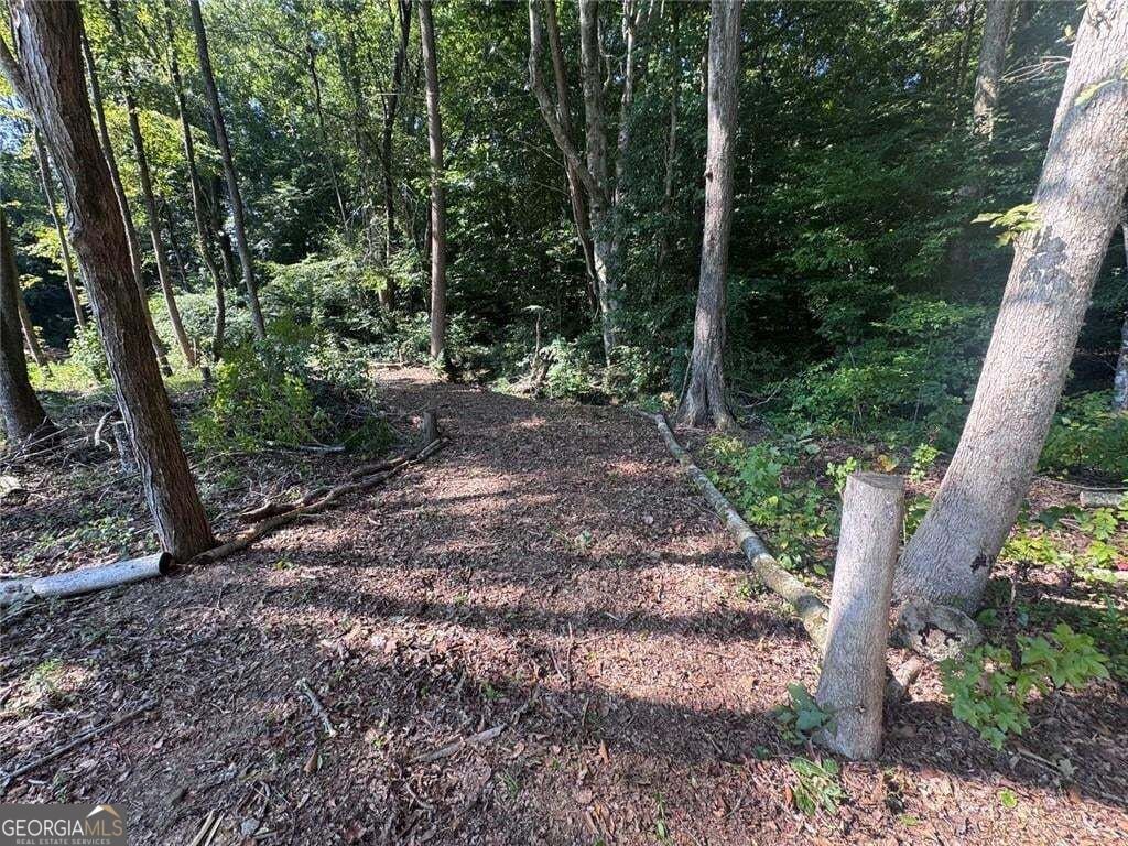 163 Meadow Spring Court Temple - Photo 44