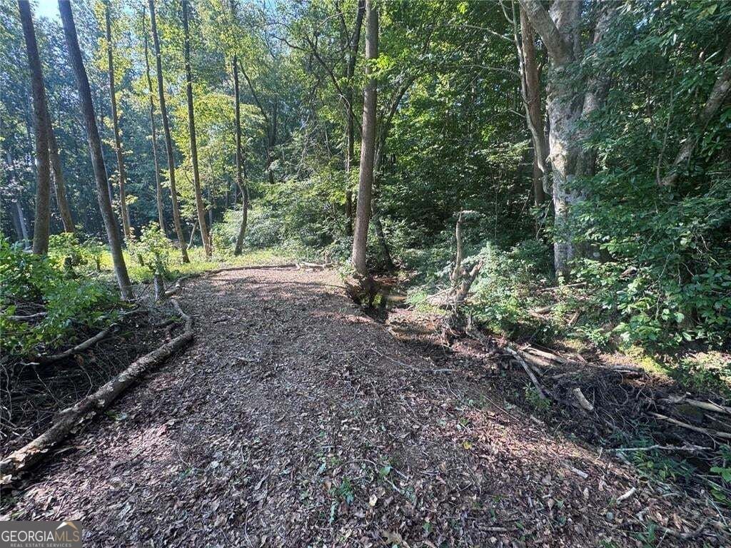 163 Meadow Spring Court Temple - Photo 45