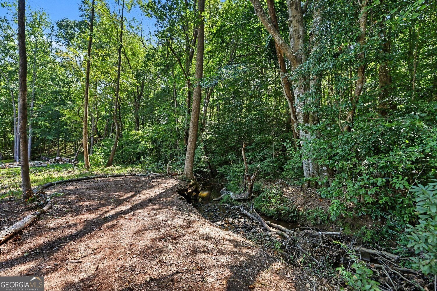 163 Meadow Spring Court Temple - Photo 46