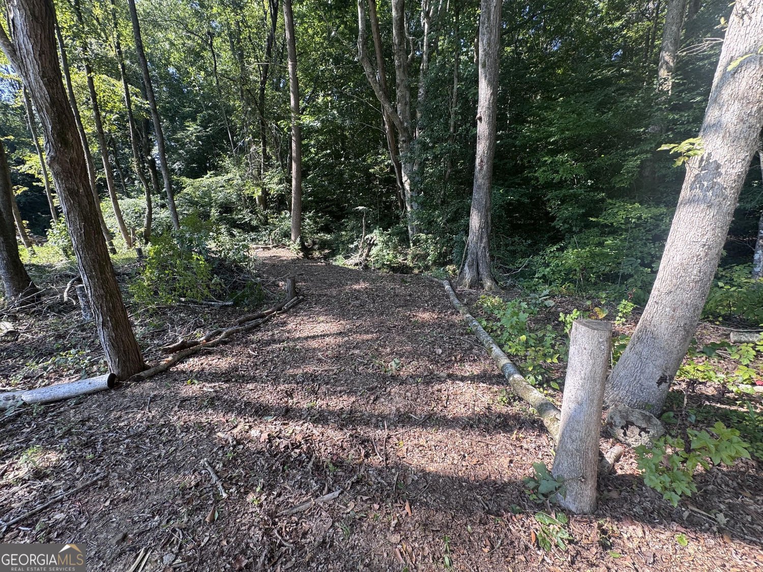 163 Meadow Spring Court Temple - Photo 8