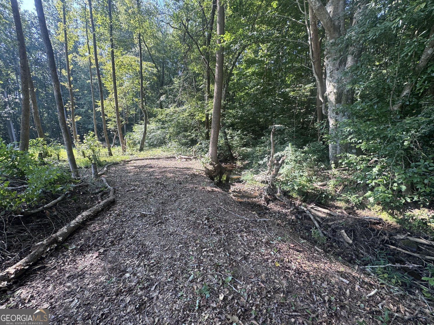 163 Meadow Spring Court Temple - Photo 9