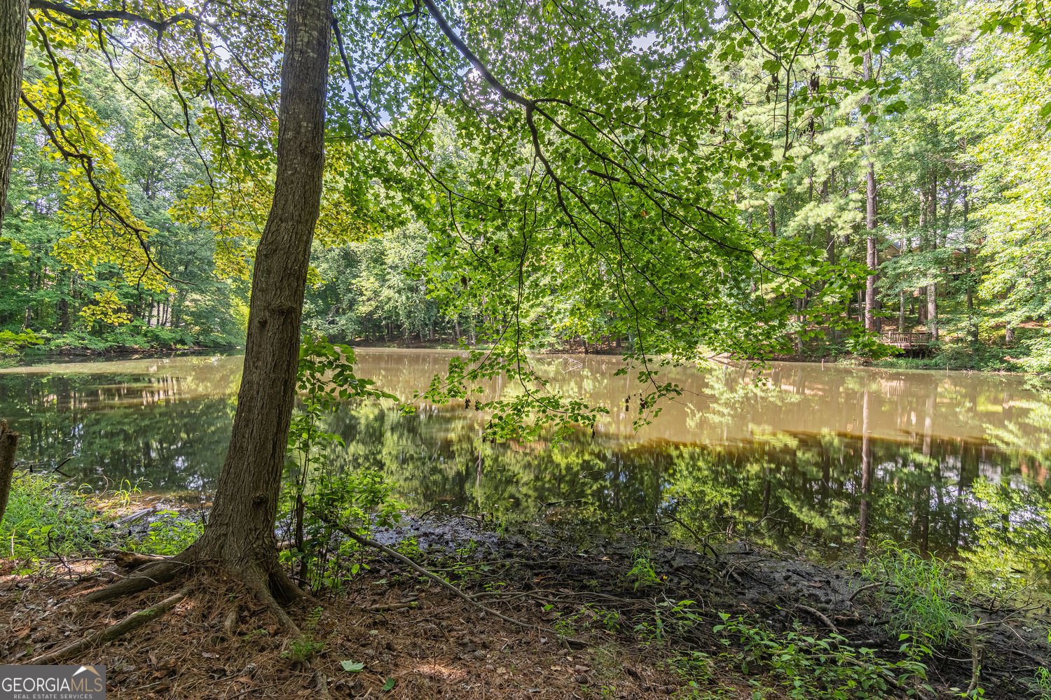 1704 Heritage Way Stone Mountain - Photo 46