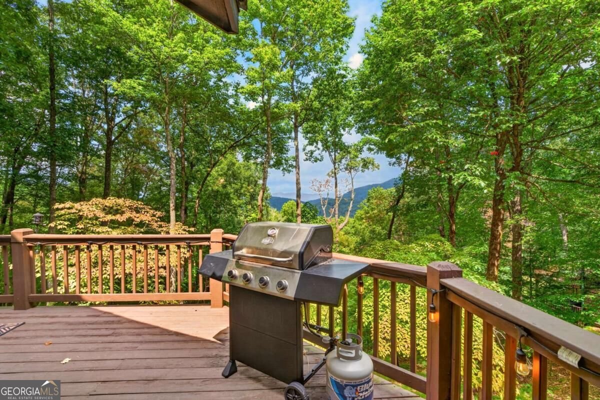 778 Walnut Mountain Road Ellijay - Photo 14