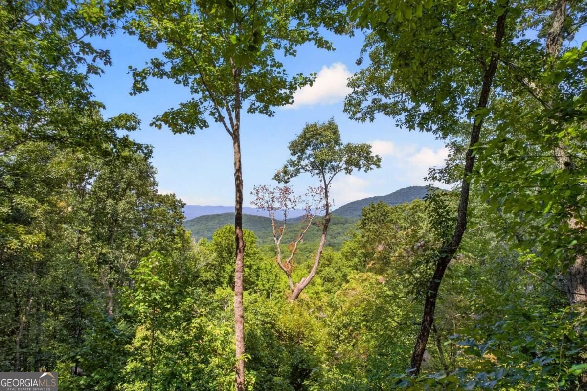 778 Walnut Mountain Road Ellijay - Photo 17