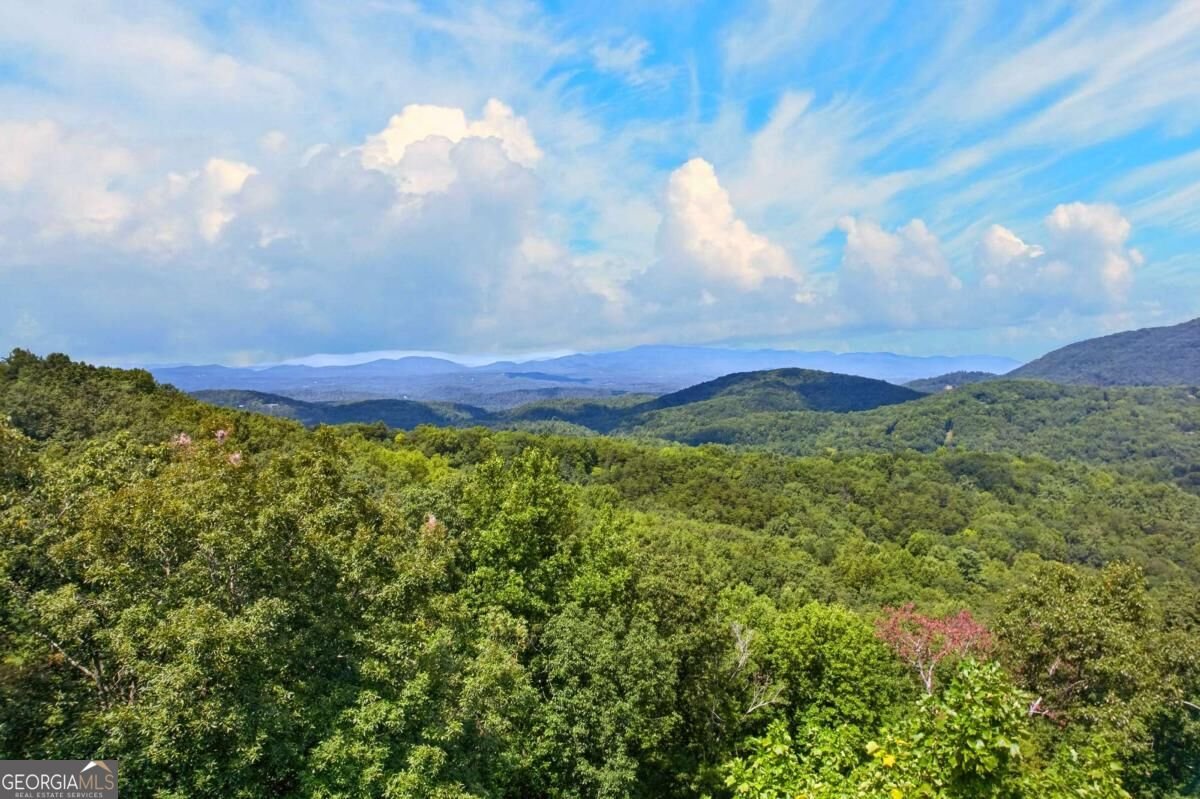 778 Walnut Mountain Road Ellijay - Photo 18