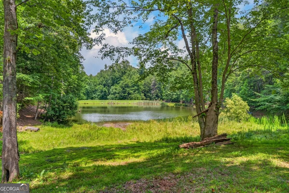 778 Walnut Mountain Road Ellijay - Photo 56