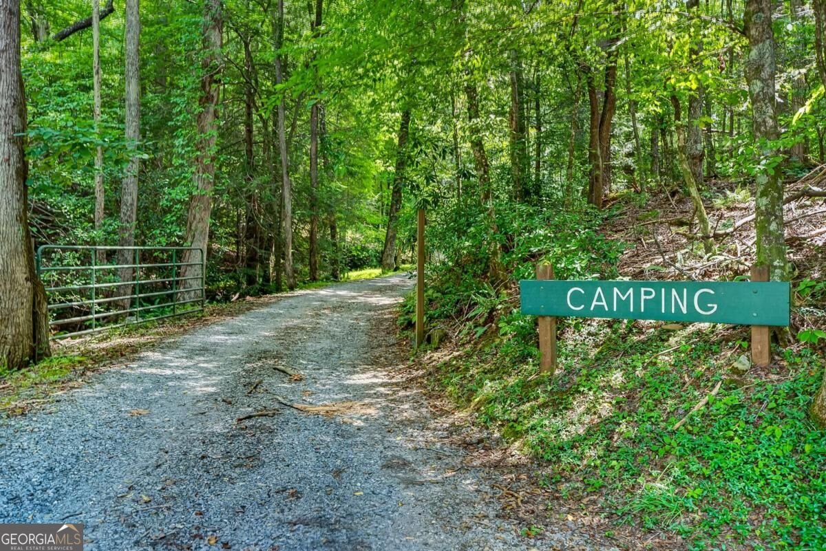 778 Walnut Mountain Road Ellijay - Photo 58