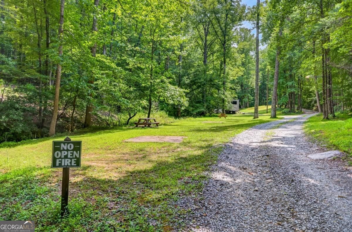 778 Walnut Mountain Road Ellijay - Photo 59