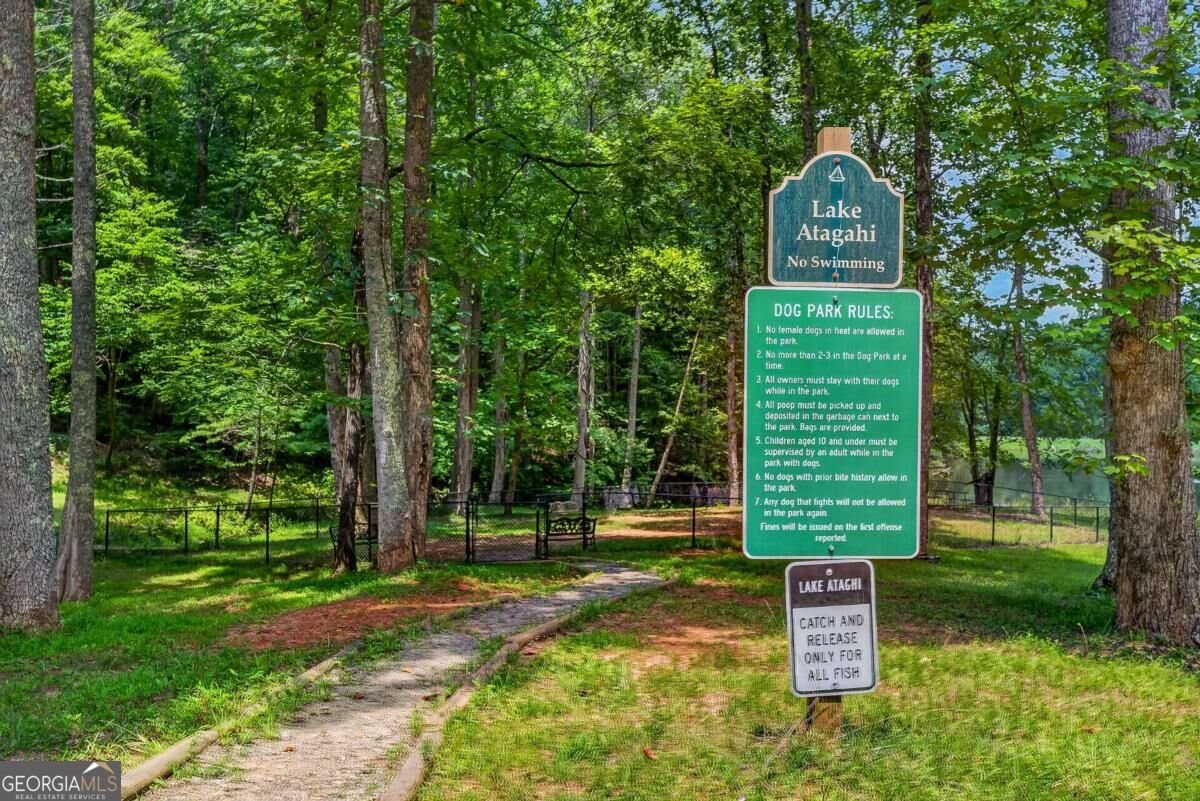 778 Walnut Mountain Road Ellijay - Photo 61