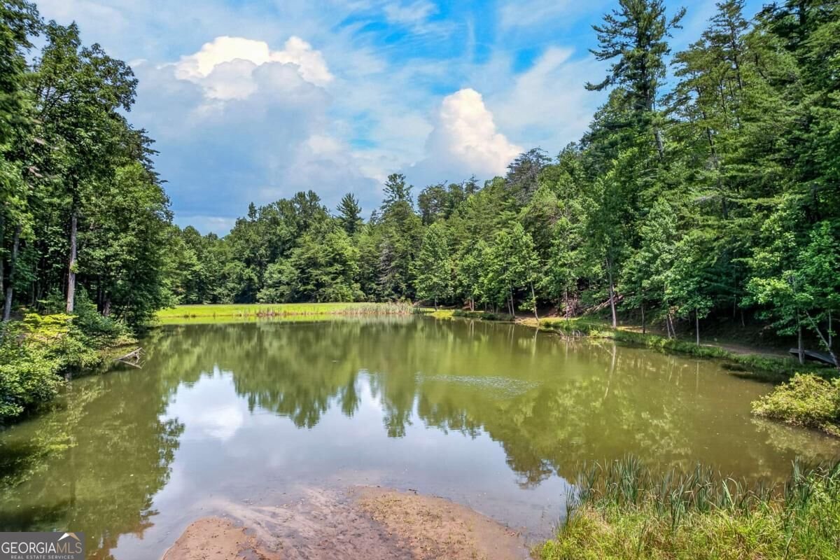 778 Walnut Mountain Road Ellijay - Photo 62