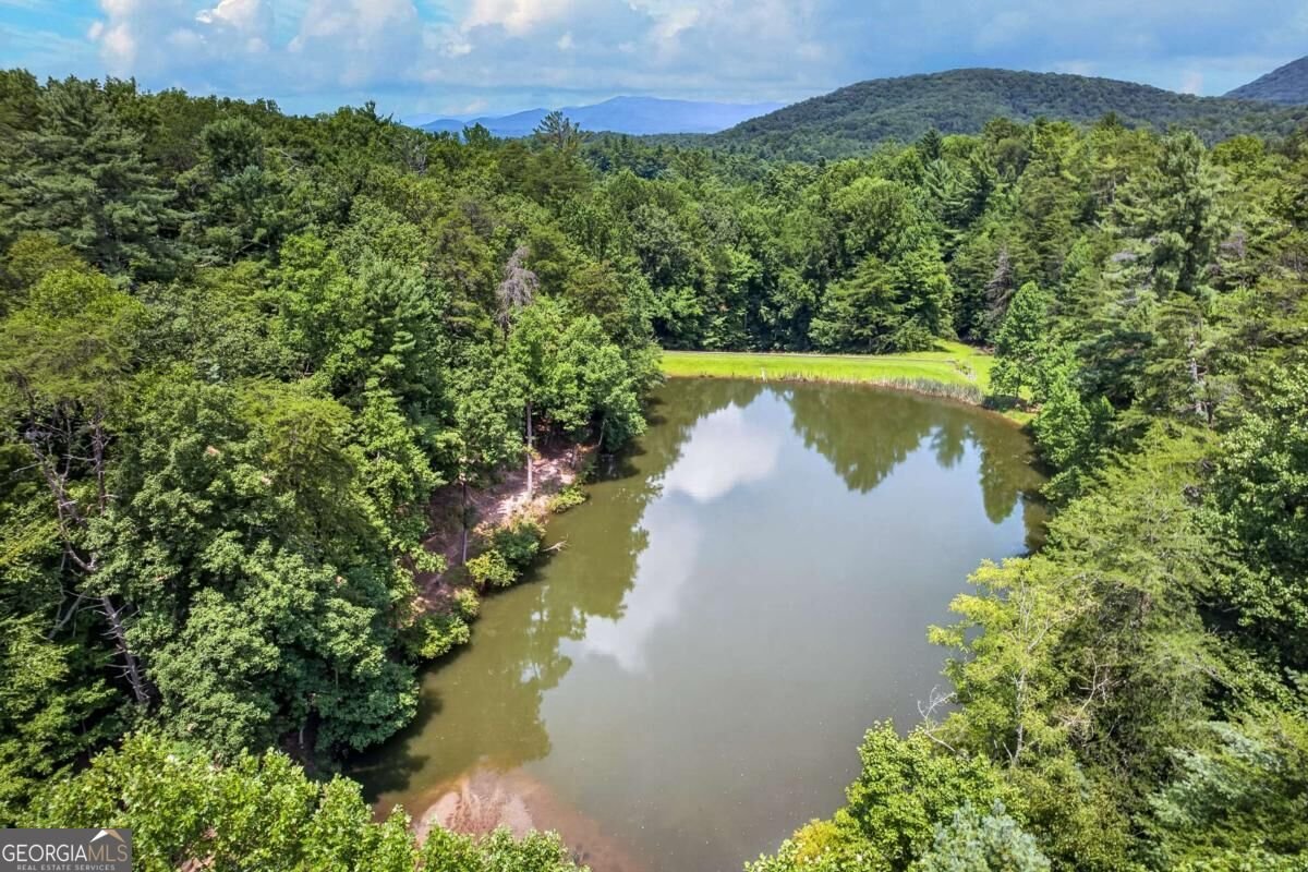 778 Walnut Mountain Road Ellijay - Photo 63