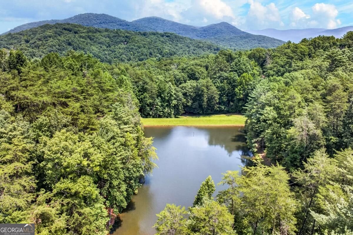 778 Walnut Mountain Road Ellijay - Photo 64