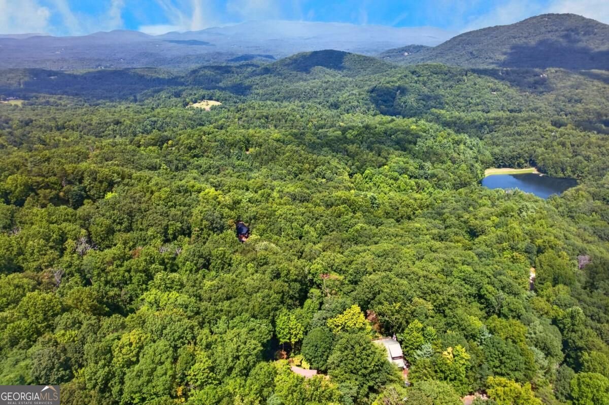 778 Walnut Mountain Road Ellijay - Photo 65
