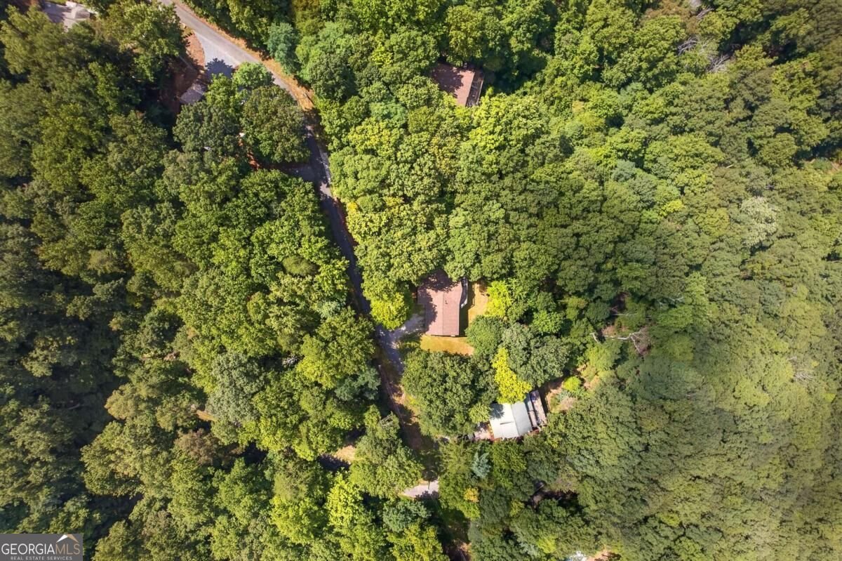 778 Walnut Mountain Road Ellijay - Photo 66