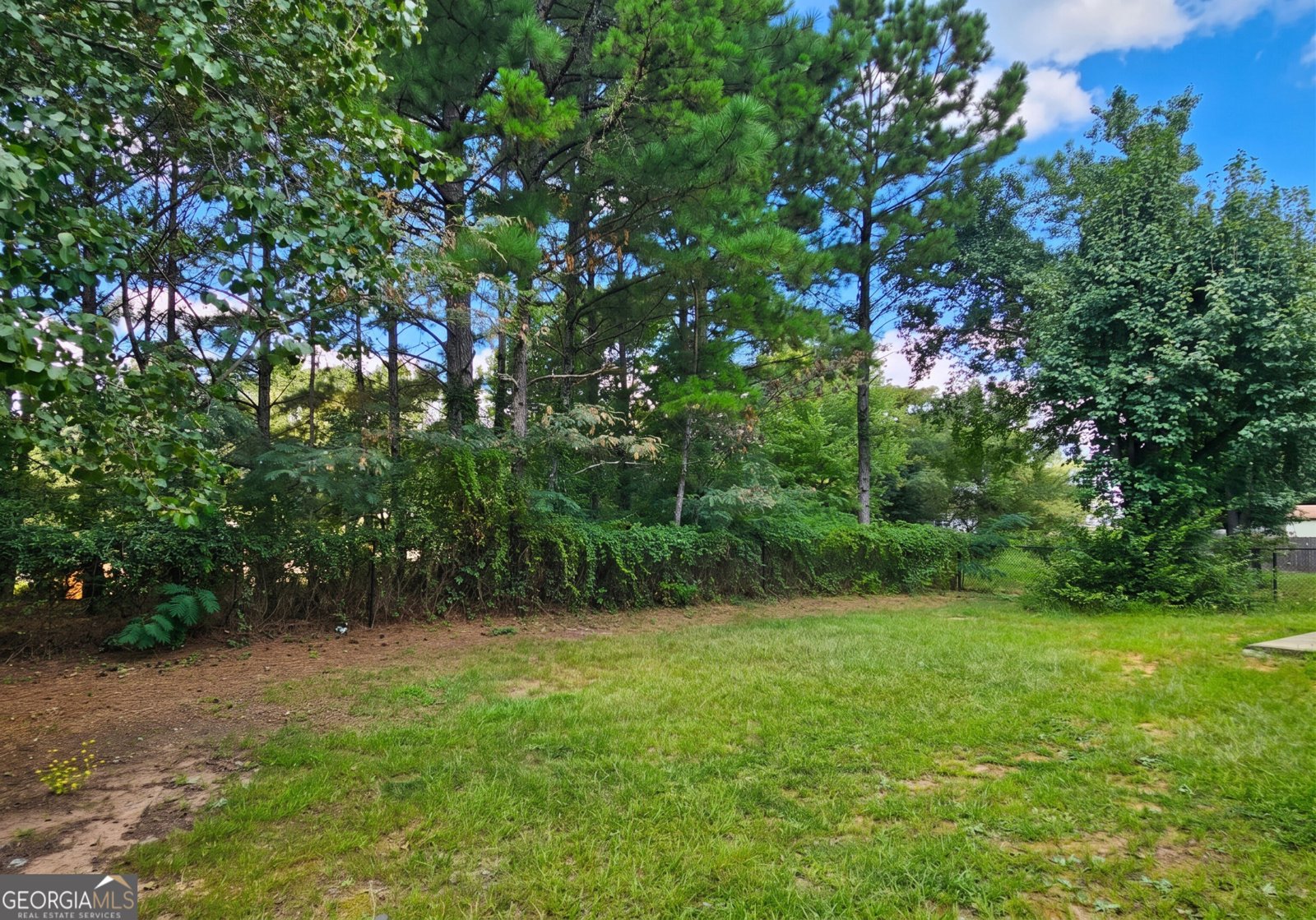 5305 Salem Springs Place Lithonia - Photo 27