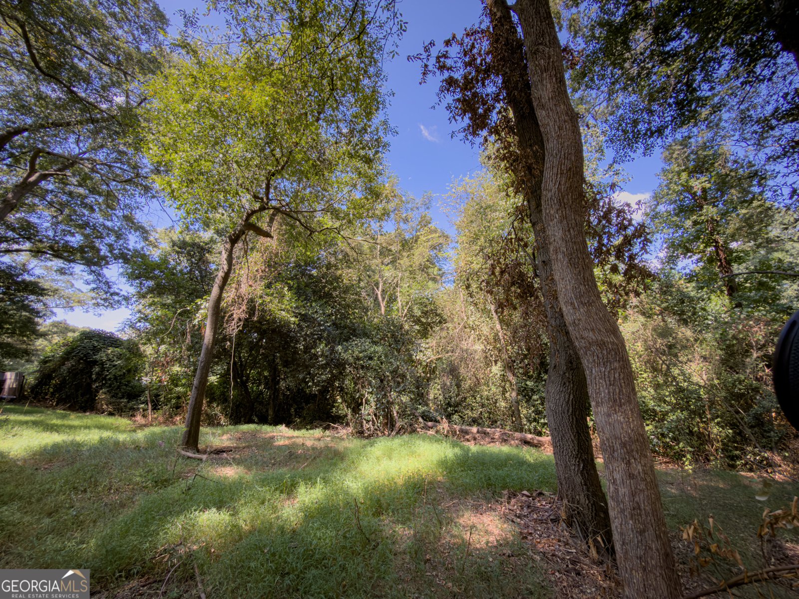 62 Oak Street Elberton - Photo 7