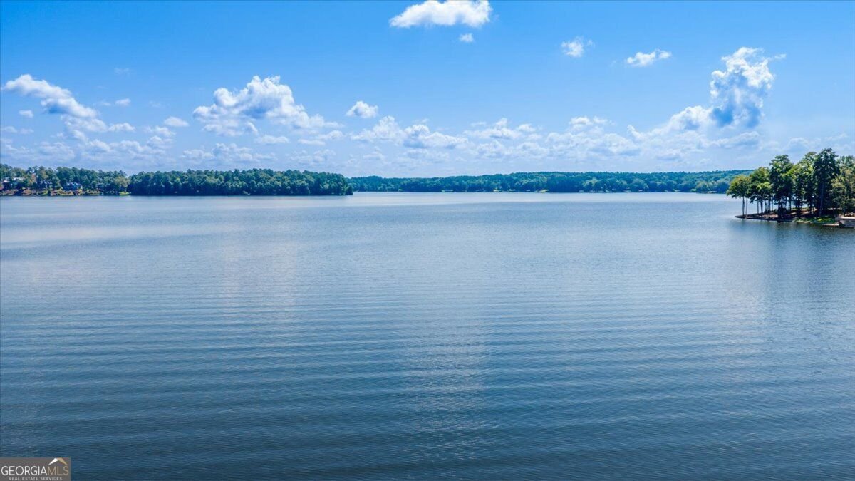 166 Waters Edge Drive Eatonton - Photo 75