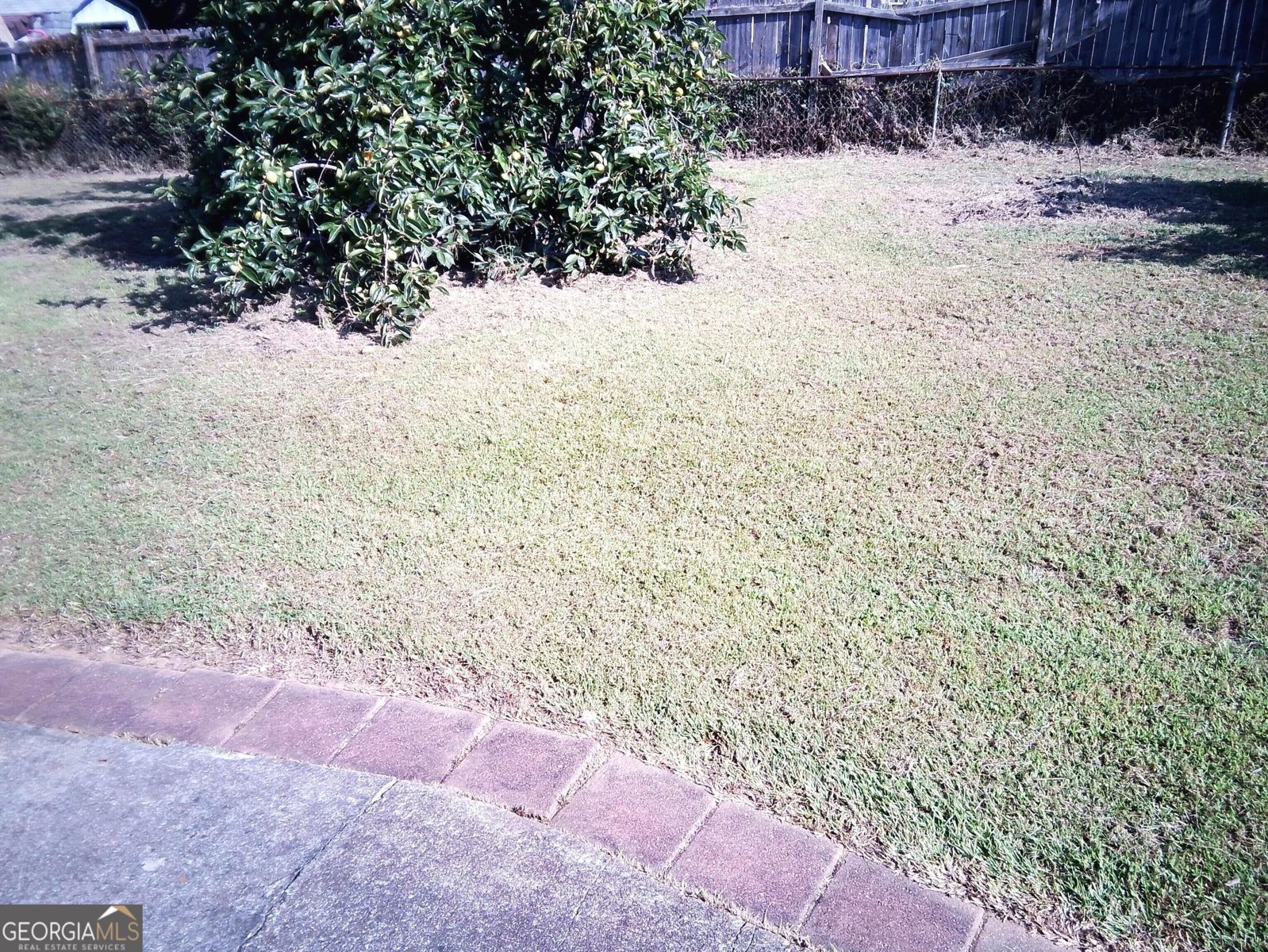 7787 Marabou Lane Riverdale - Photo 11