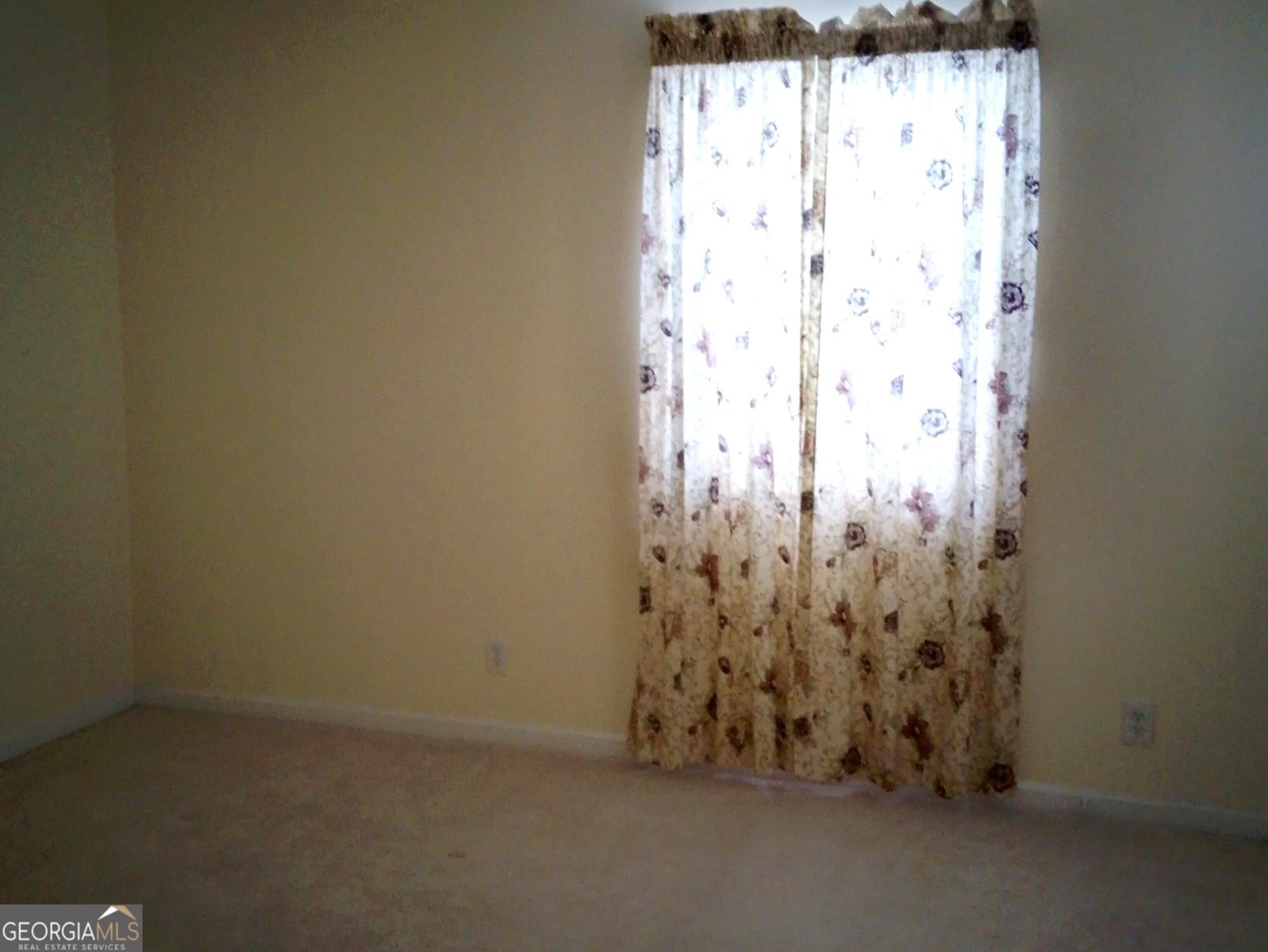 7787 Marabou Lane Riverdale - Photo 15