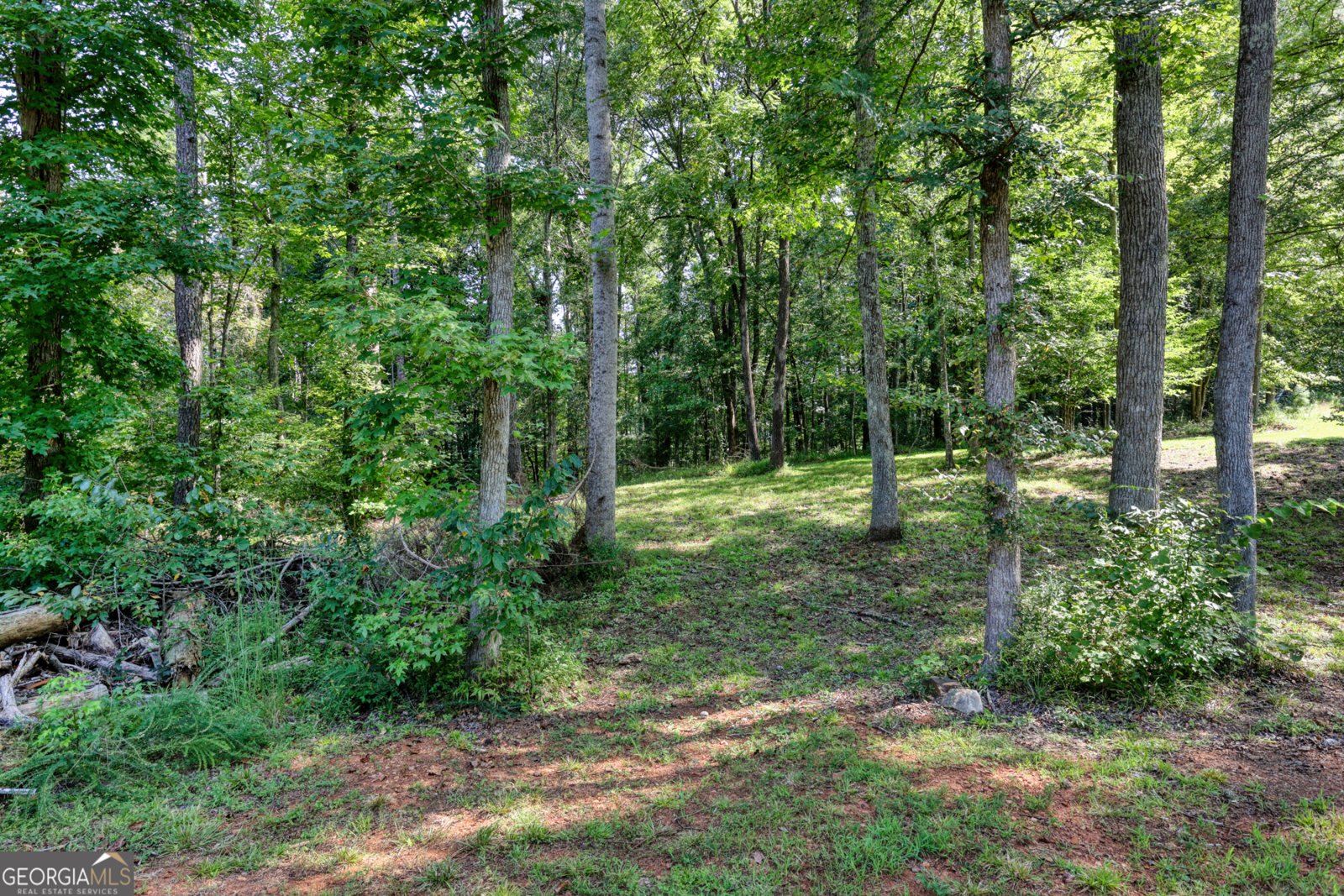 4370 Cole Road Villa Rica - Photo 36