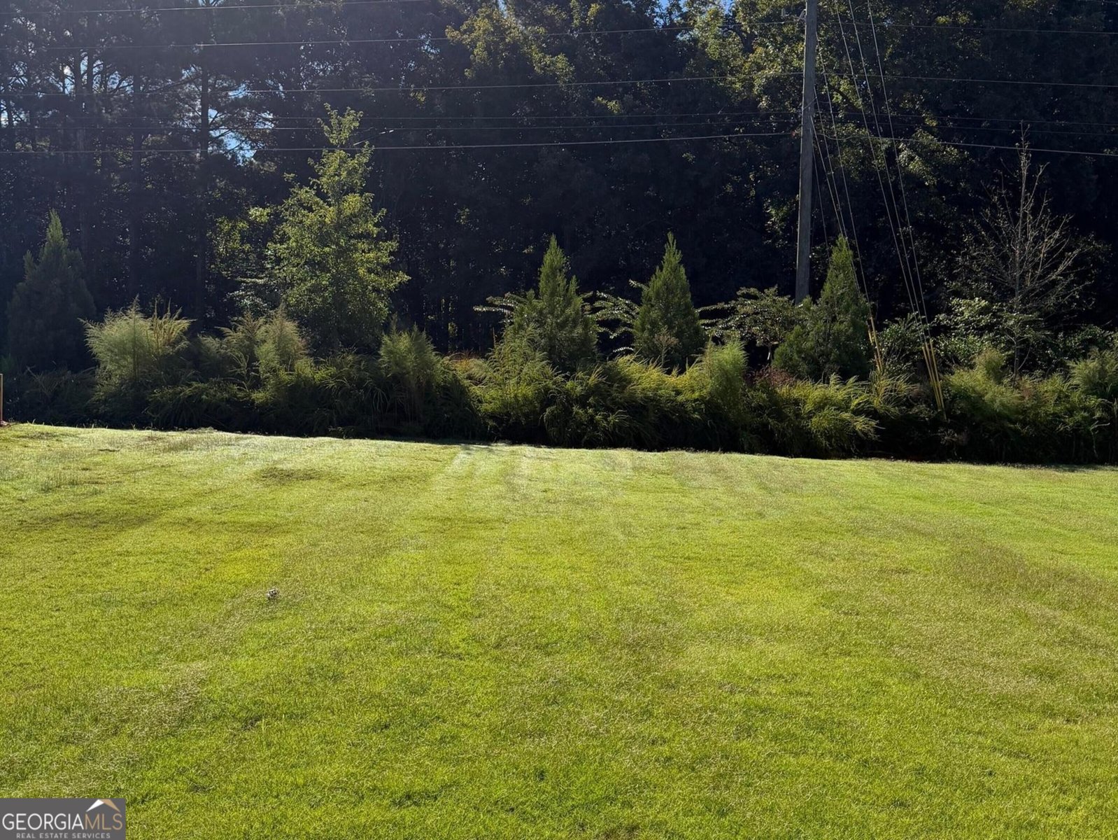 8135 Pine Ridge Road South Fulton - Photo 18