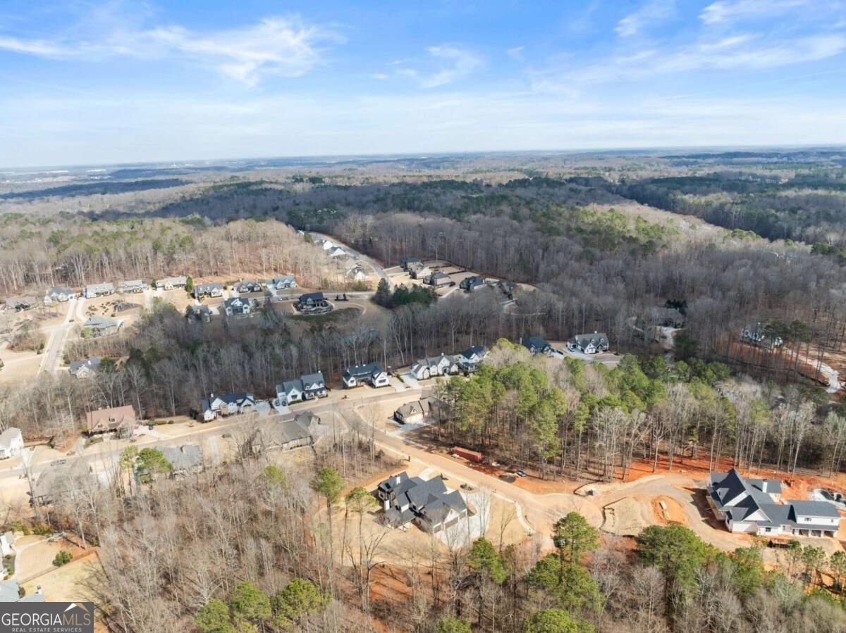 1178 Pinnacle Drive Hoschton - Photo 77