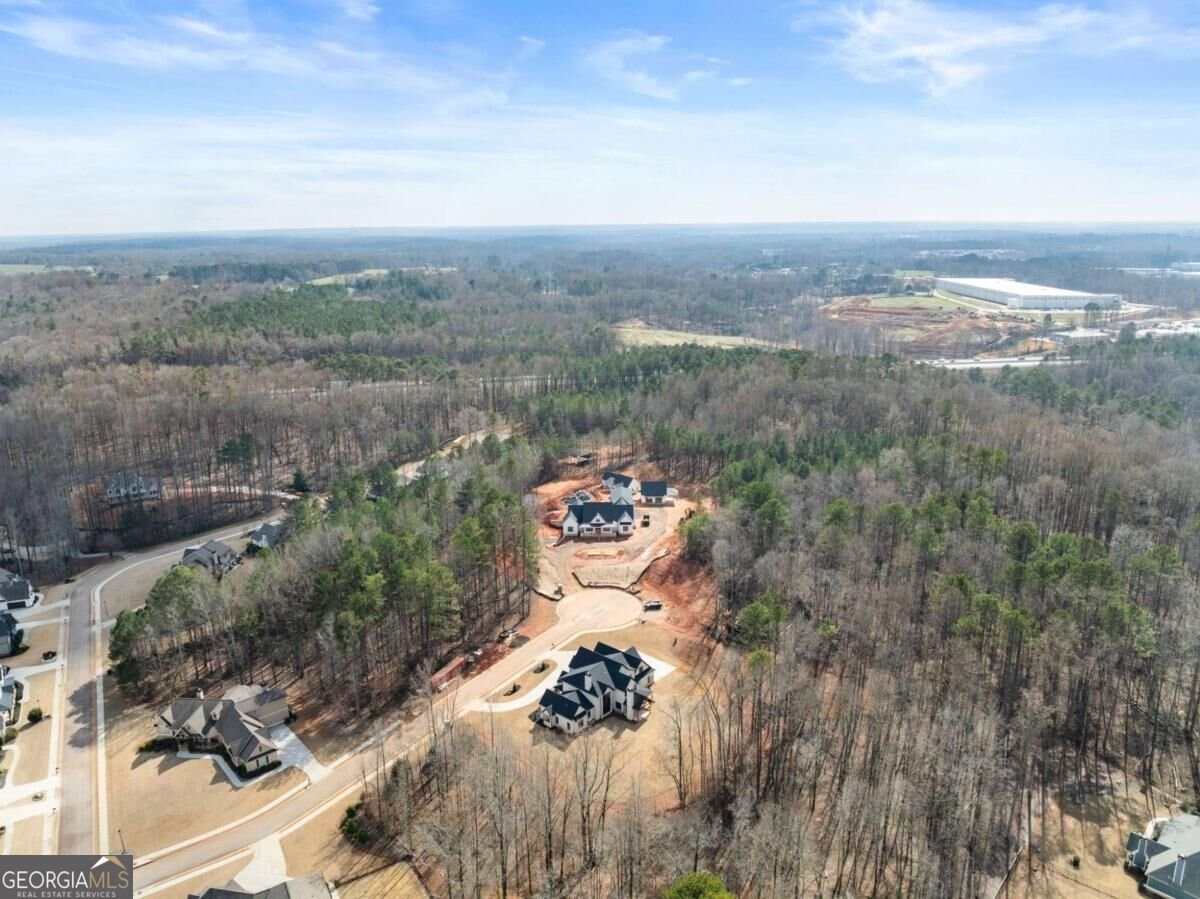 1178 Pinnacle Drive Hoschton - Photo 79