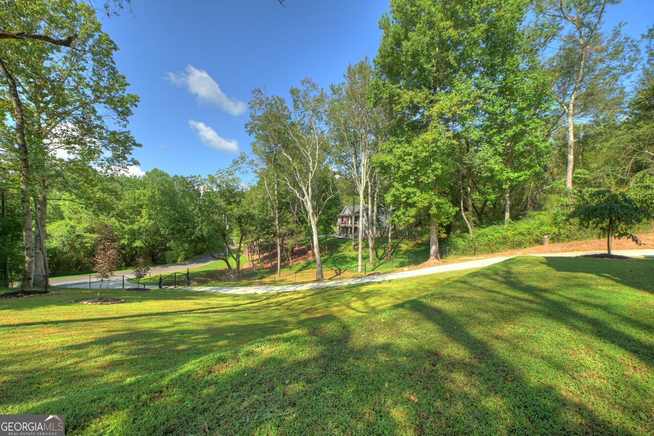 236 Ivy Drive Ellijay - Photo 41