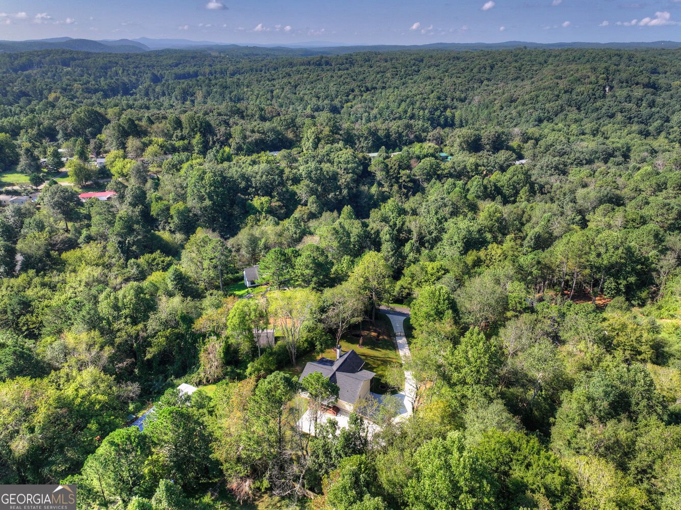 236 Ivy Drive Ellijay - Photo 55