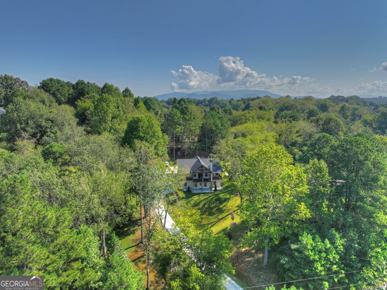 236 Ivy Drive Ellijay - Photo 57