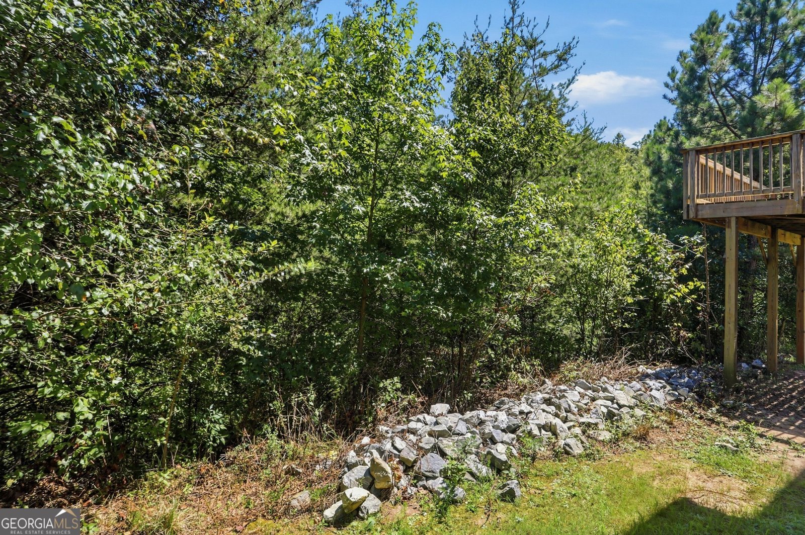 469 Flowing Trail Dawsonville - Photo 43