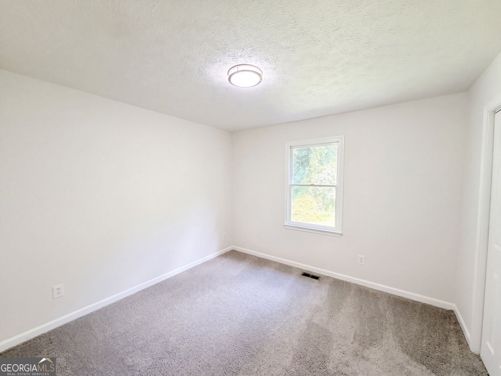 806 Ruswood Road Winder - Photo 11