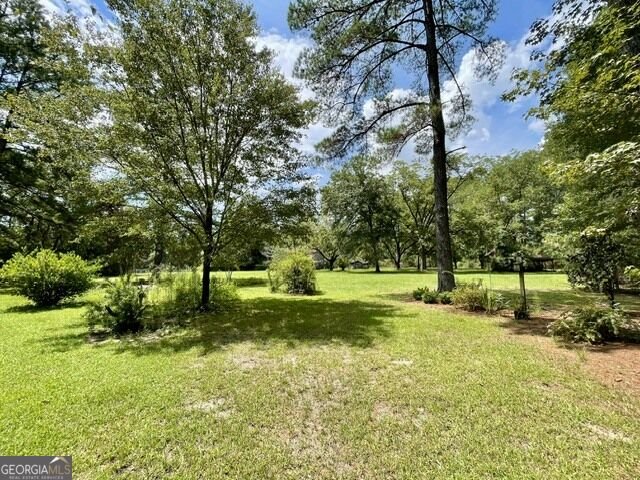 14155 Mud Road Brooklet - Photo 47