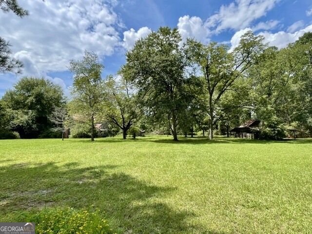 14155 Mud Road Brooklet - Photo 49