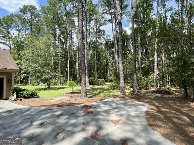 14155 Mud Road Brooklet - Photo 53