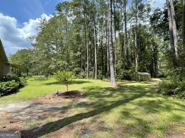 14155 Mud Road Brooklet - Photo 54