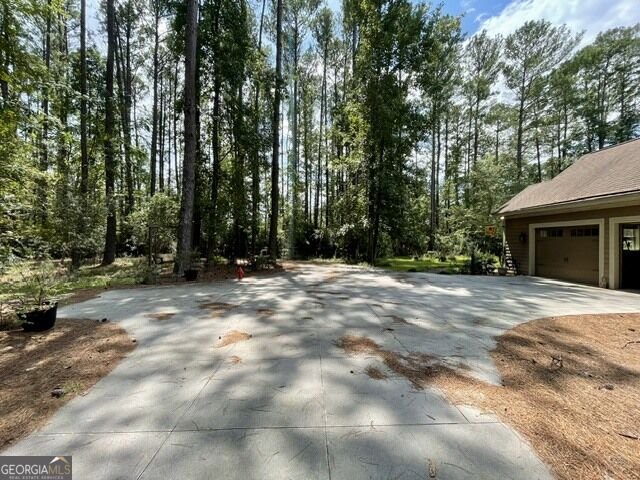 14155 Mud Road Brooklet - Photo 55