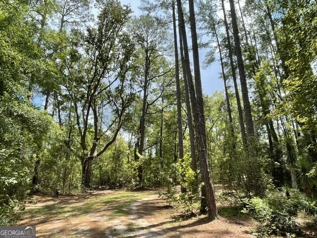 14155 Mud Road Brooklet - Photo 57